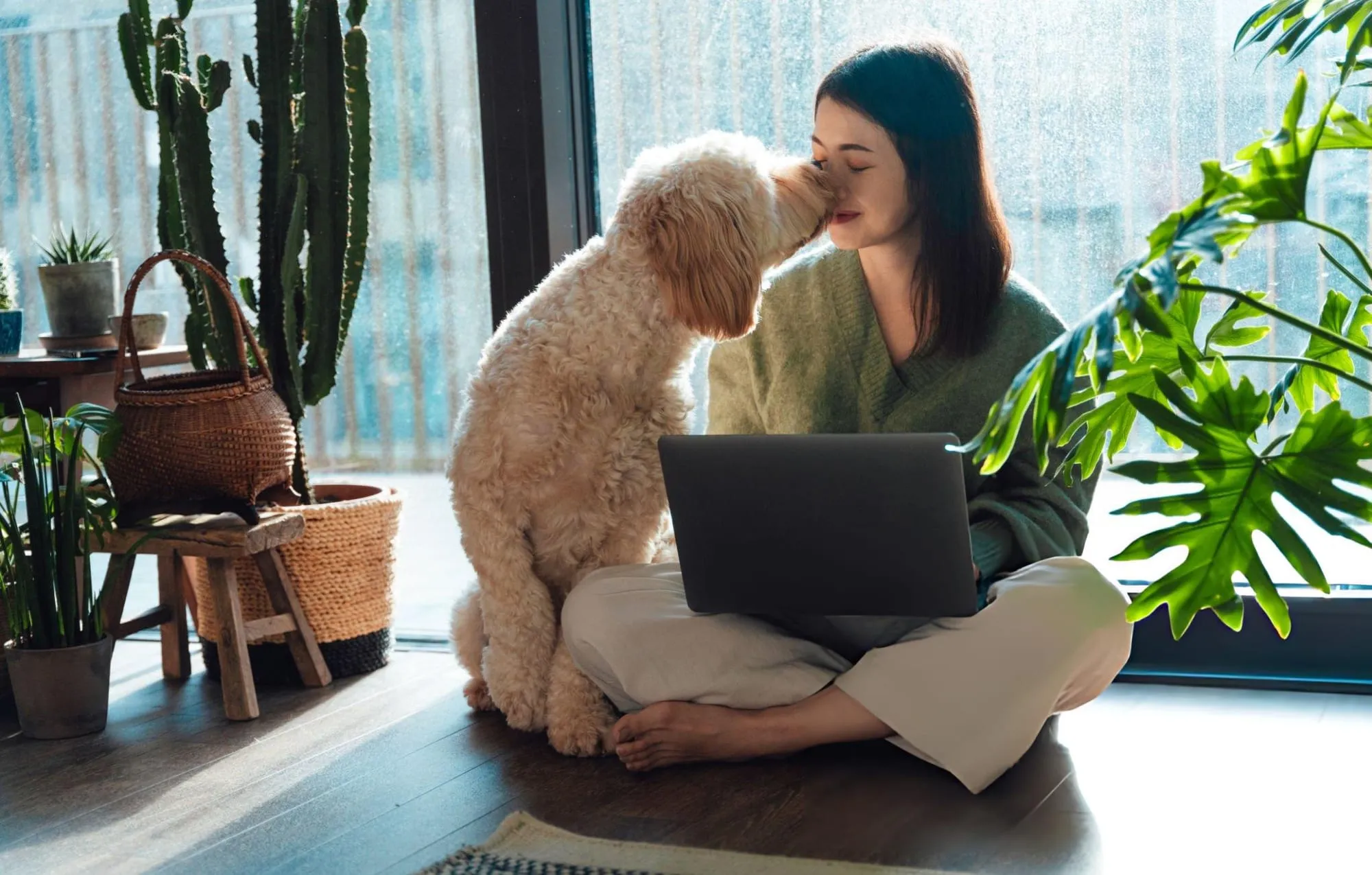 Woman sitting on the floor with a laptop, nuzzling her fluffy dog among houseplants