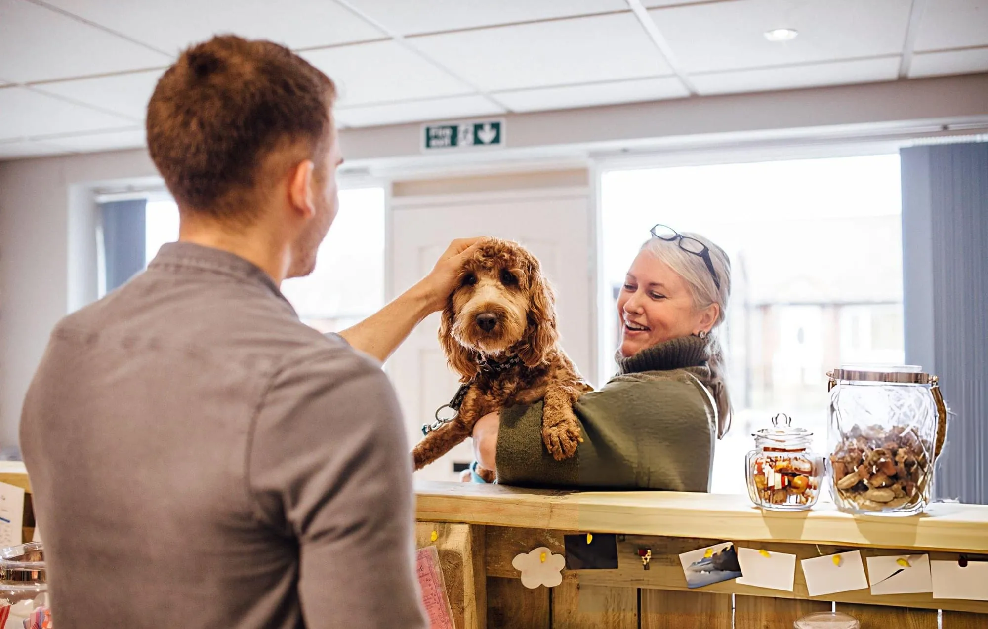 Man petting a curly-haired dog held by a smiling woman across a wooden pet-care reception counter