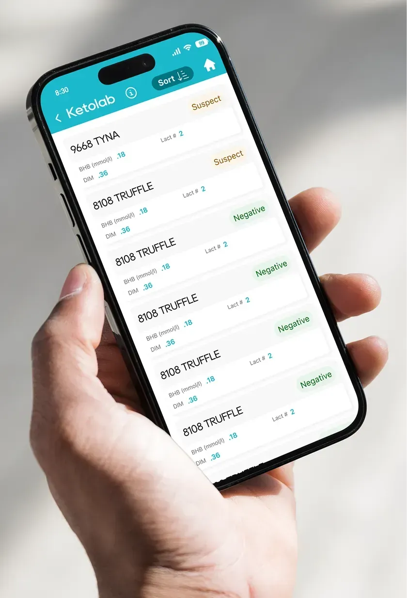 A phone showing a Lactanet Ketolab list of cows with a Suspect or Negative tag for each.
