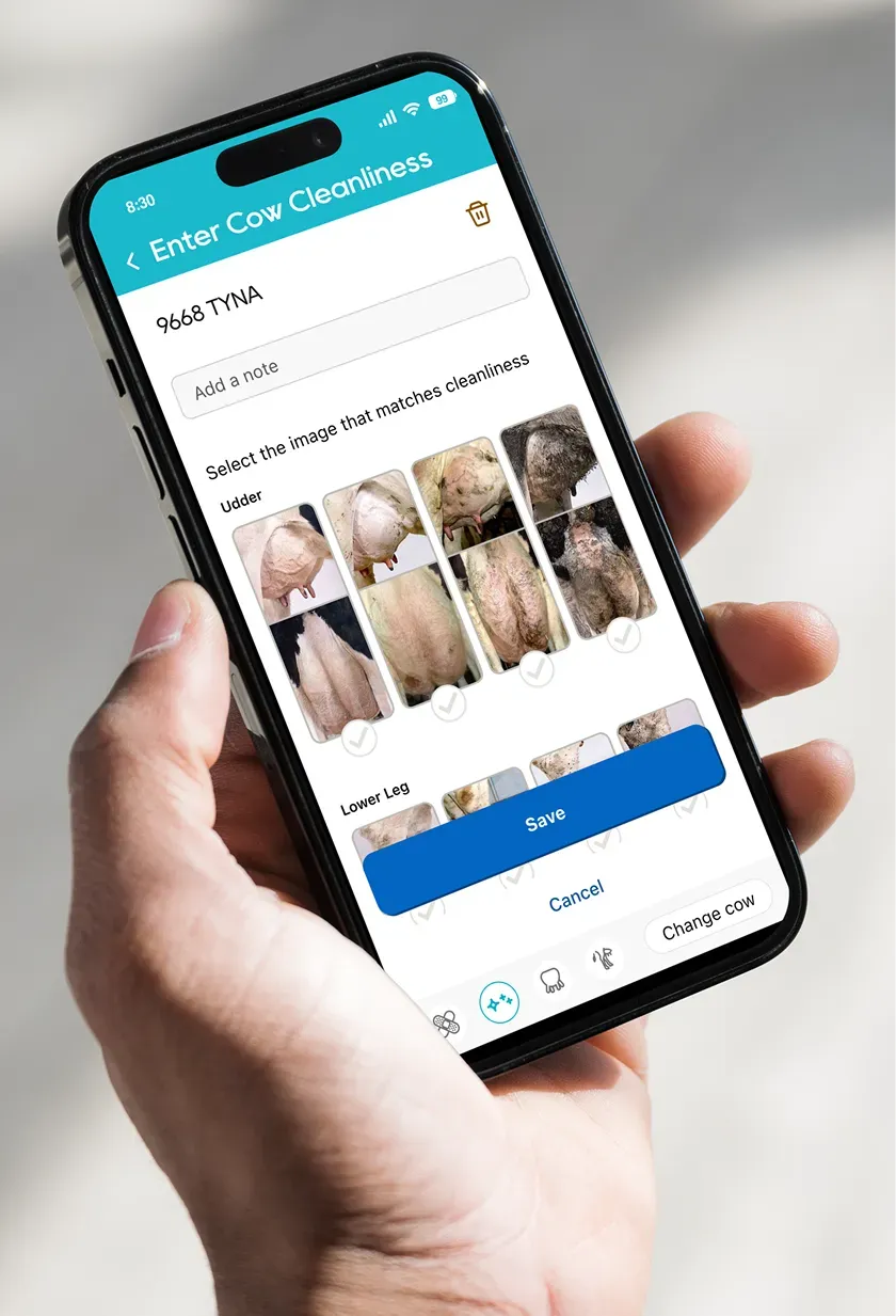 A phone showing the Lactanet Enter Cow Cleanliness screen, with photos to choose from and a Save button.
