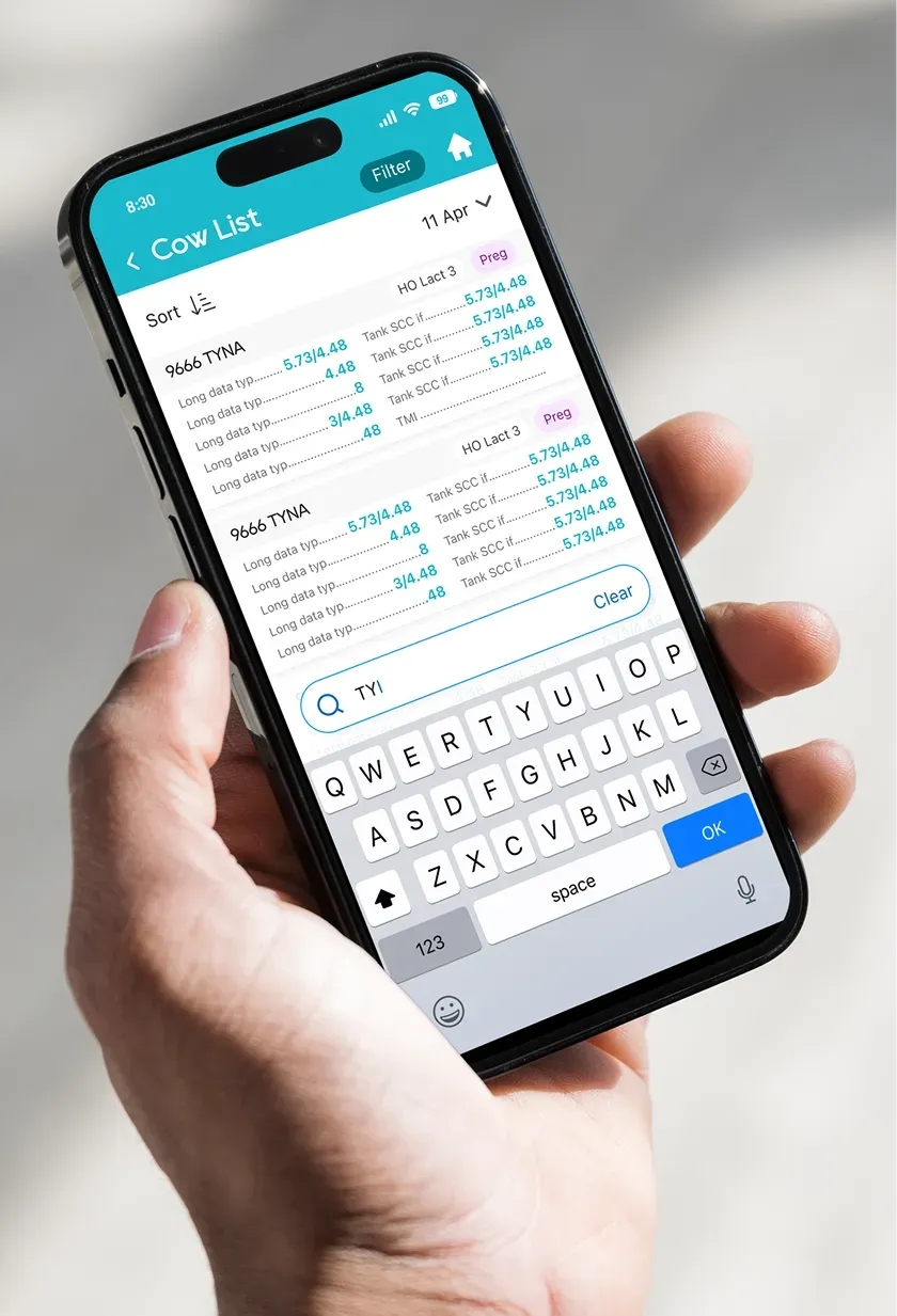 A phone showing a Lactanet cows list with a search box and the keyboard open.