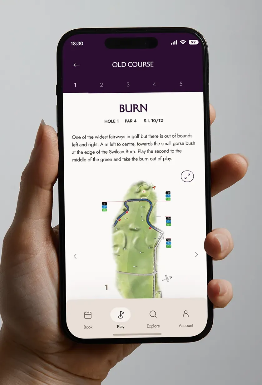 A hole guide with a map and playing notes for one hole.