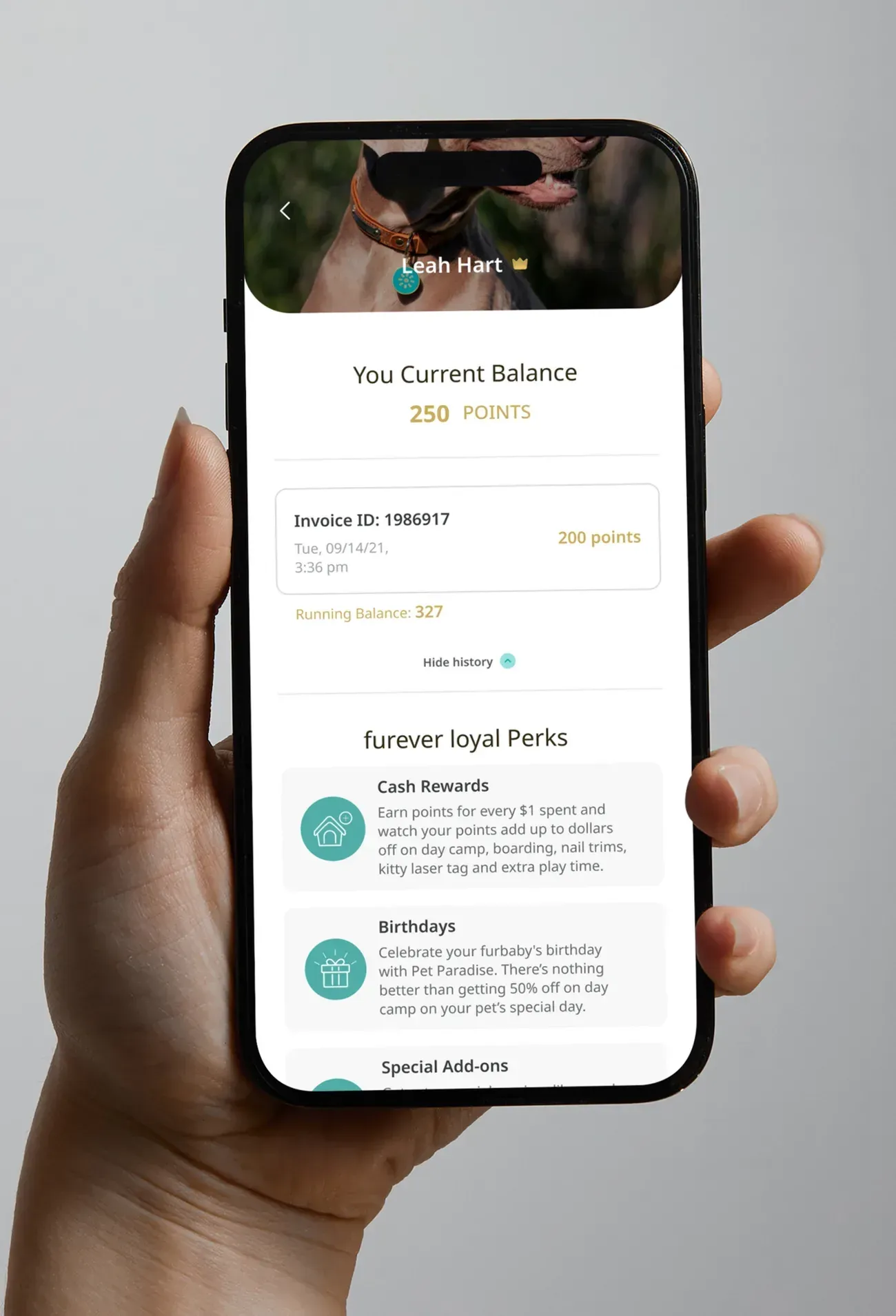 The loyalty screen showing a points balance and member perks.